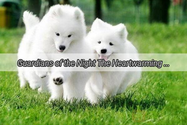 Guardians of the Night The Heartwarming Story of a Faithful Canine Sentinel